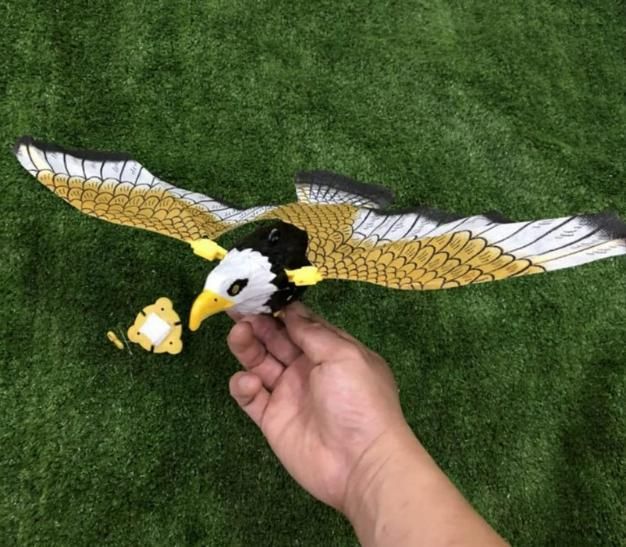 Flying Eagle Toy with Flapping Wings
